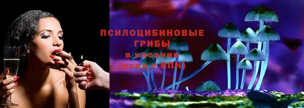 a pvp Алексин