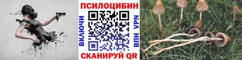 магазин  наркотиков  Копейск  Галлюциногенные грибы GOLDEN TEACHER 
